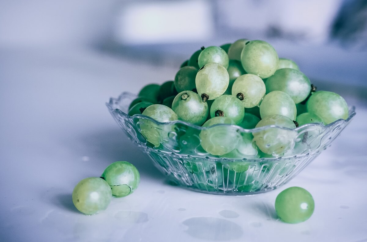 Benefits of Grapes for Skin Why you Should Eat More Basic of Beauty